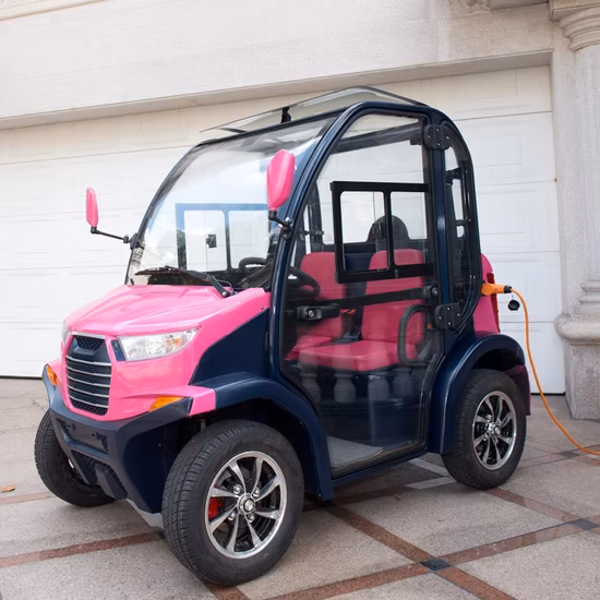 電気観光バス、ゴルフ、卸売、電池、小型電気自動車、軽自動車、二人乗り観光自動車