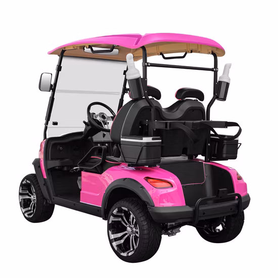 無料メーカー卸売カスタムカラー電動スポーツゴルフバギーカートバッテリーLSV 4輪2乗用小型電動シングルカーミニ高級車シート付き