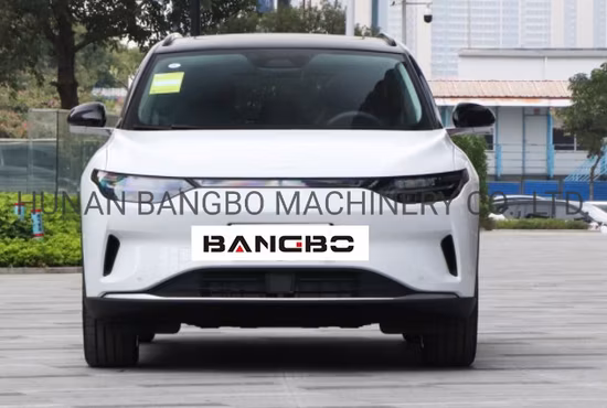 Leapmotor C11 マイクロカー SUV 小型車 ミニ電気乗用車 ミニカー 純粋な電気自動車